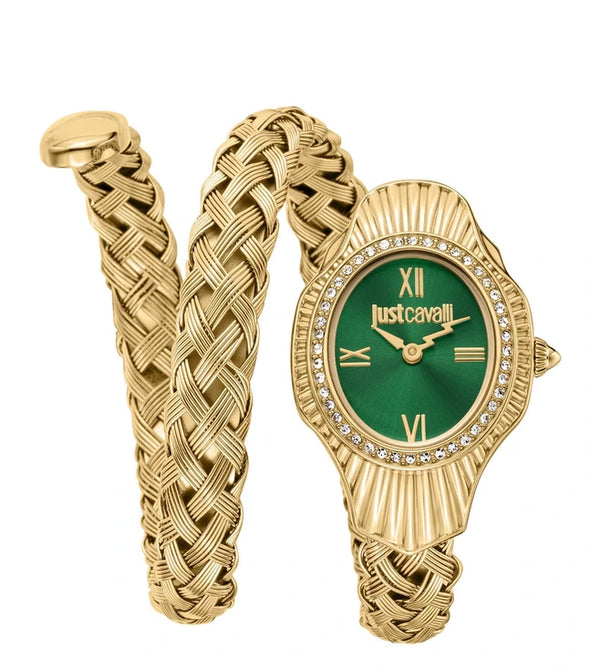 Just Cavalli JC1L305M0035 Green Watch